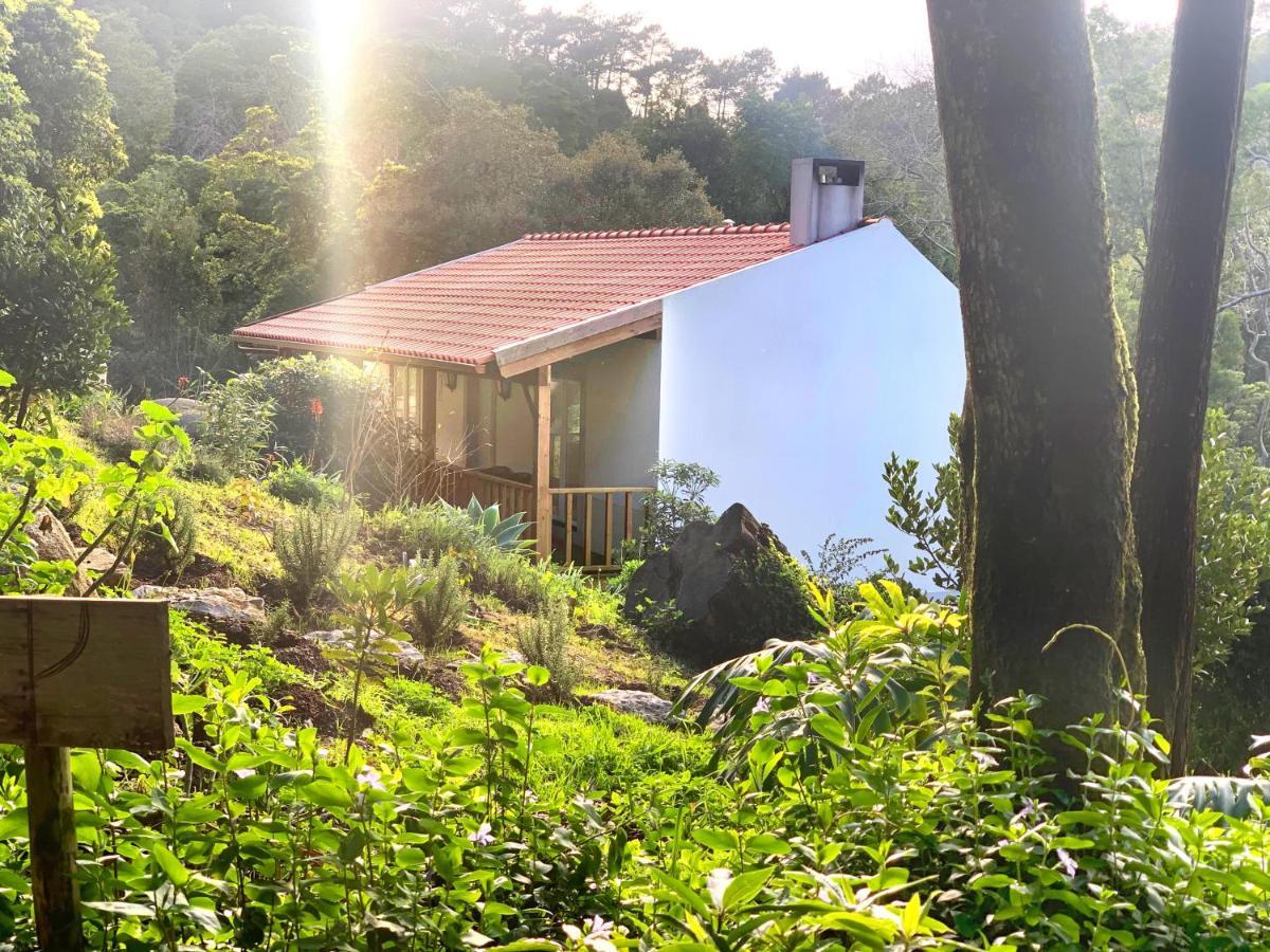 Eighteen21 Houses - Secluded Charm Cottage In Quinta Velha Sintra Ngoại thất bức ảnh
